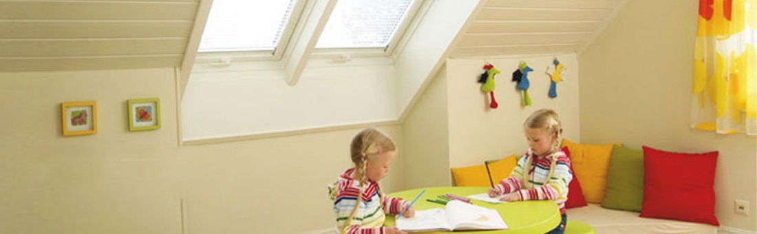 Roof Window Installers Winchester