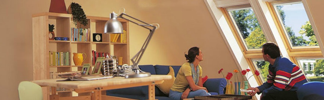 Roof Window Installers Winchester